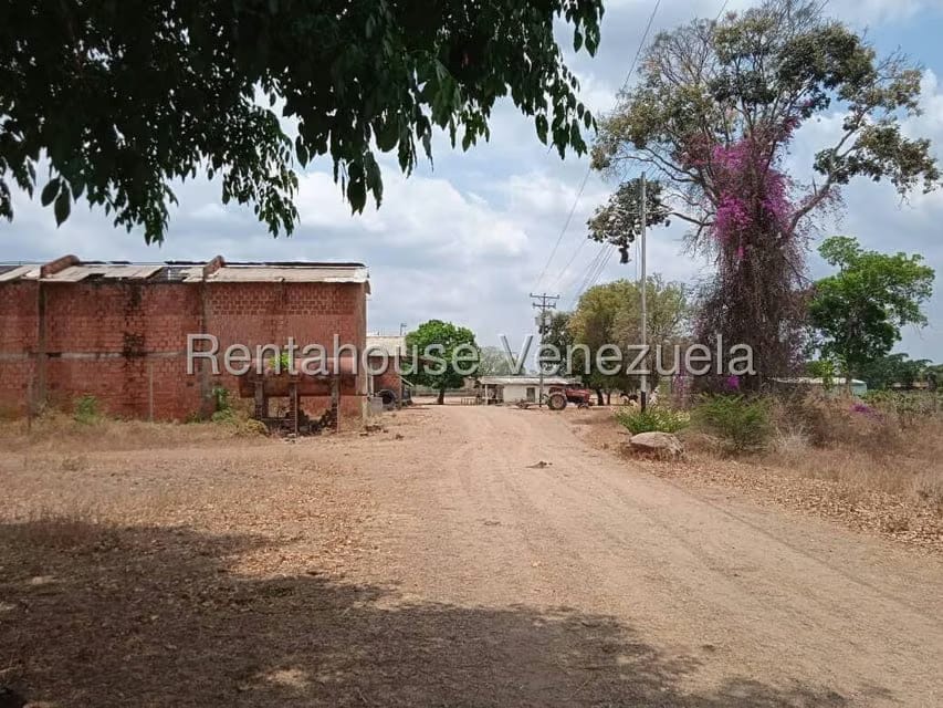 Negocios y Empresas (Comercio) en Venta en Carretera Caracas-Barbacoa, Aragua - 48