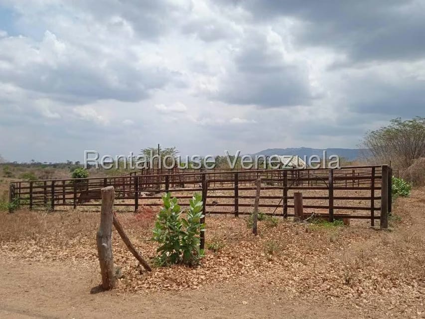 Negocios y Empresas (Comercio) en Venta en Carretera Caracas-Barbacoa, Aragua - 49
