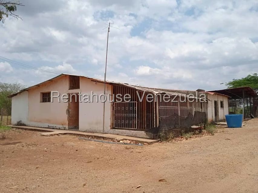 Negocios y Empresas (Comercio) en Venta en Carretera Caracas-Barbacoa, Aragua - 50