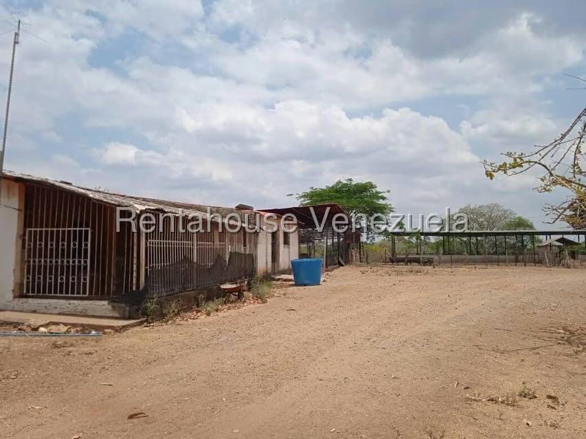 Negocios y Empresas (Comercio) en Venta en Carretera Caracas-Barbacoa, Aragua - 51