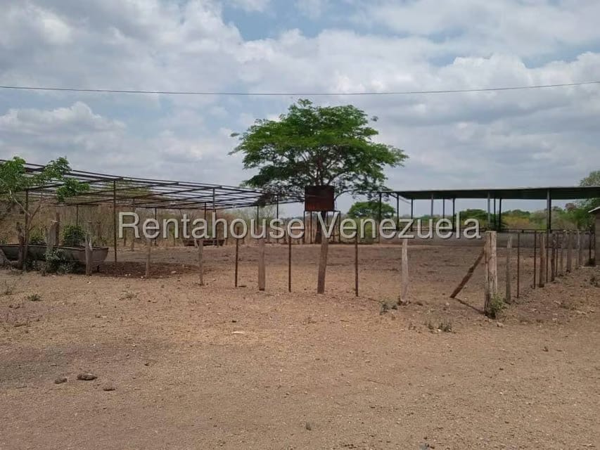 Negocios y Empresas (Comercio) en Venta en Carretera Caracas-Barbacoa, Aragua - 53