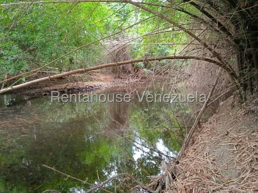 Negocios y Empresas (Comercio) en Venta en Carretera Caracas-Barbacoa, Aragua - 58