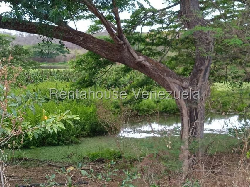 Negocios y Empresas (Comercio) en Venta en Carretera Caracas-Barbacoa, Aragua - 62