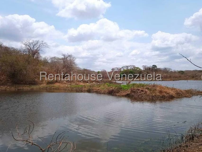Negocios y Empresas (Comercio) en Venta en Carretera Caracas-Barbacoa, Aragua - 64