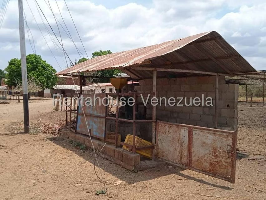 Negocios y Empresas (Comercio) en Venta en Carretera Caracas-Barbacoa, Aragua - 10