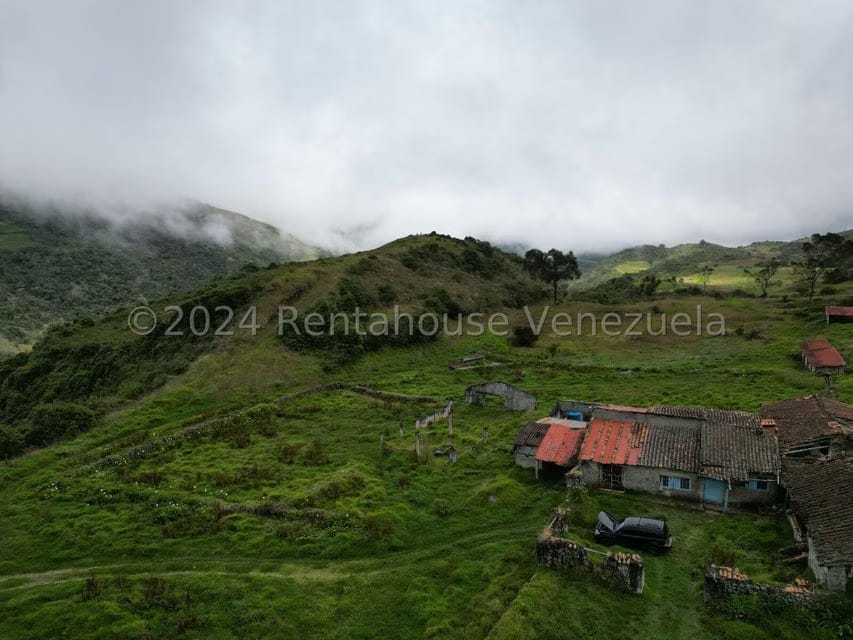 Terreno (Finca) en Venta en Pueblo Viejo, Merida - 2