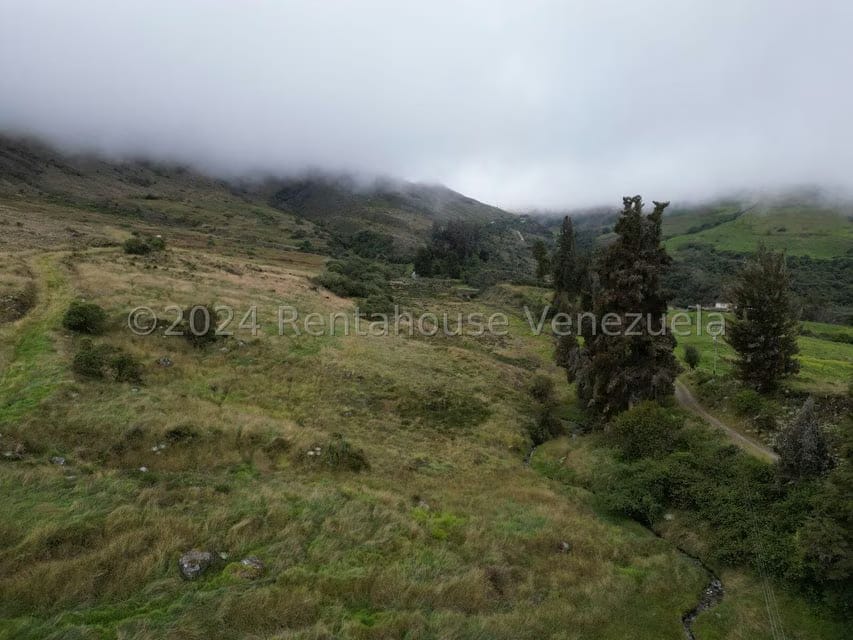 Terreno (Finca) en Venta en Pueblo Viejo, Merida - 11