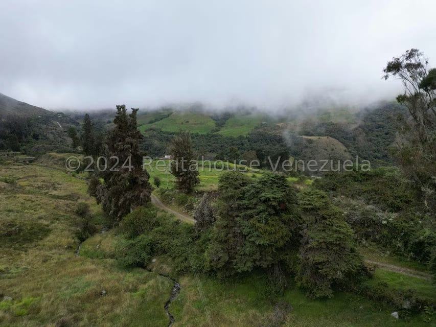 Terreno (Finca) en Venta en Pueblo Viejo, Merida - 12