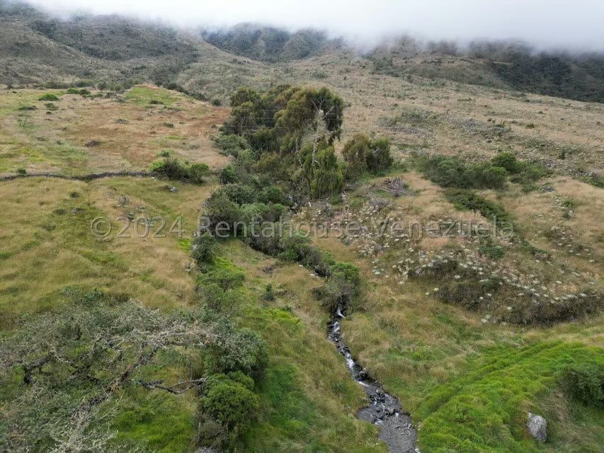 Terreno (Finca) en Venta en Pueblo Viejo, Merida - 13