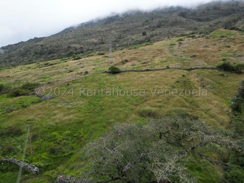 Terreno (Finca) en Venta en Pueblo Viejo, Merida - 15