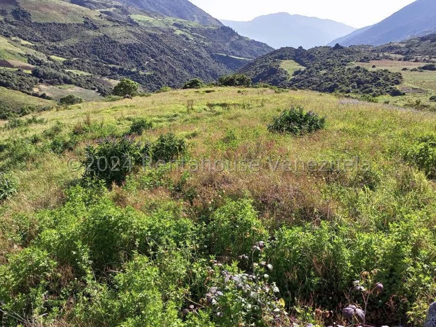 Terreno (Finca) en Venta en Pueblo Viejo, Merida - 16