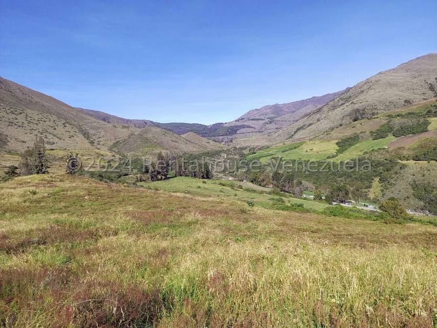 Terreno (Finca) en Venta en Pueblo Viejo, Merida - 18