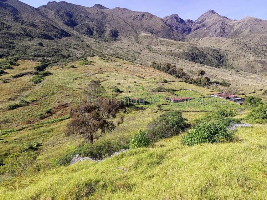 Terreno (Finca) en Venta en Pueblo Viejo, Merida - 19