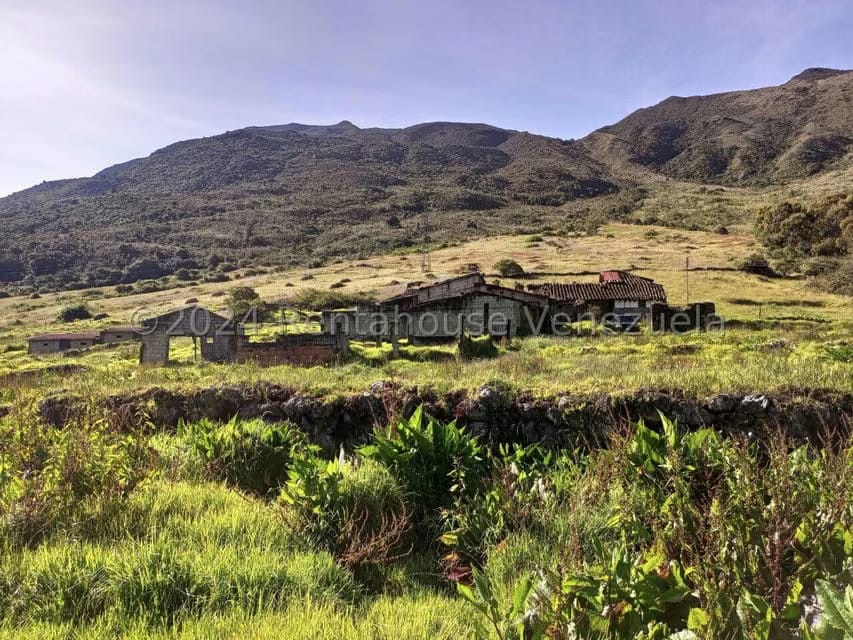 Terreno (Finca) en Venta en Pueblo Viejo, Merida - 20