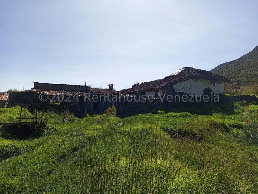Terreno (Finca) en Venta en Pueblo Viejo, Merida - 23