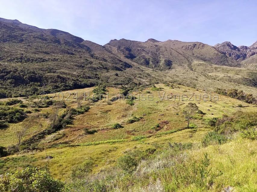 Terreno (Finca) en Venta en Pueblo Viejo, Merida - 24