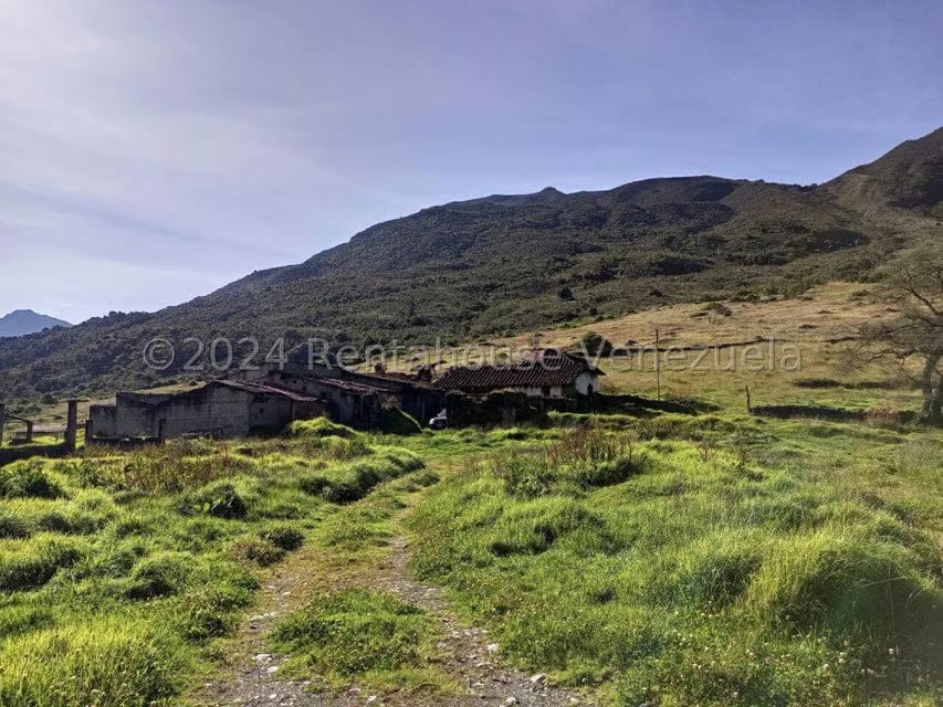 Terreno (Finca) en Venta en Pueblo Viejo, Merida - 28