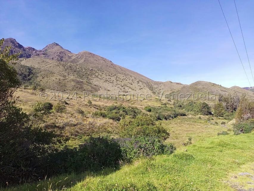 Terreno (Finca) en Venta en Pueblo Viejo, Merida - 29