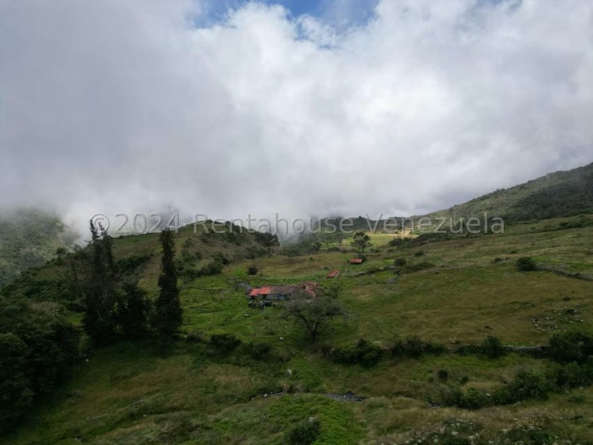 Terreno (Finca) en Venta en Pueblo Viejo, Merida - 4