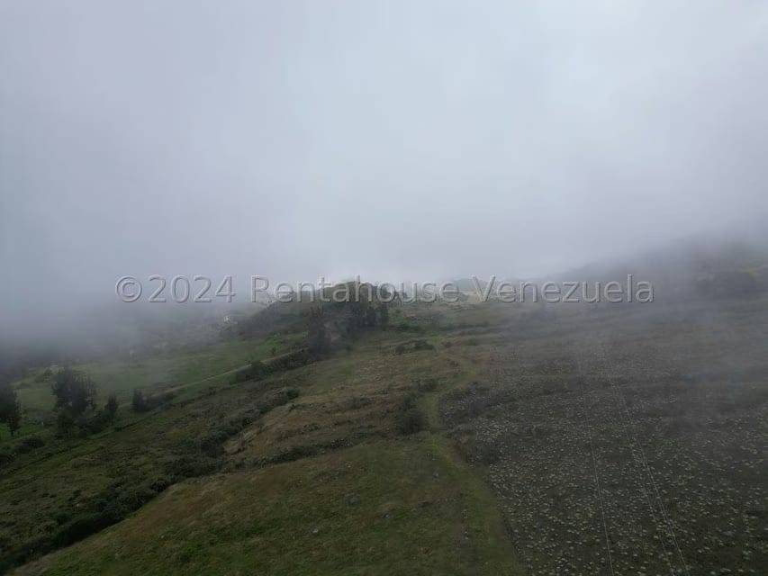 Terreno (Finca) en Venta en Pueblo Viejo, Merida - 5