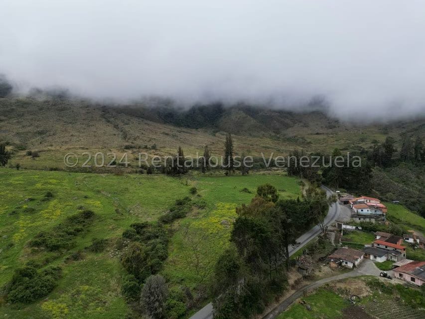Terreno (Finca) en Venta en Pueblo Viejo, Merida - 6