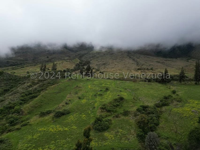 Terreno (Finca) en Venta en Pueblo Viejo, Merida - 7