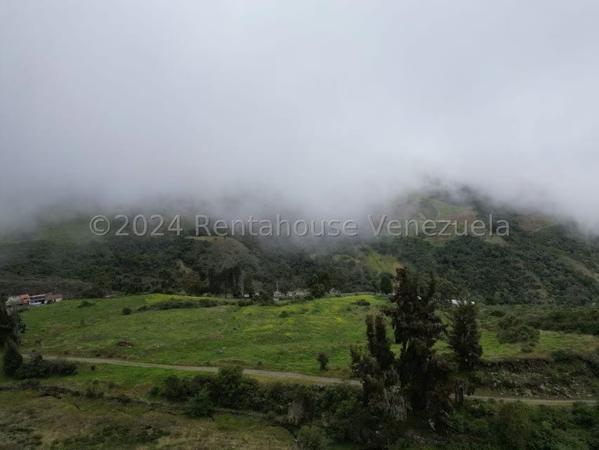 Terreno (Finca) en Venta en Pueblo Viejo, Merida - 9