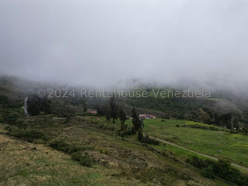 Terreno (Finca) en Venta en Pueblo Viejo, Merida - 10