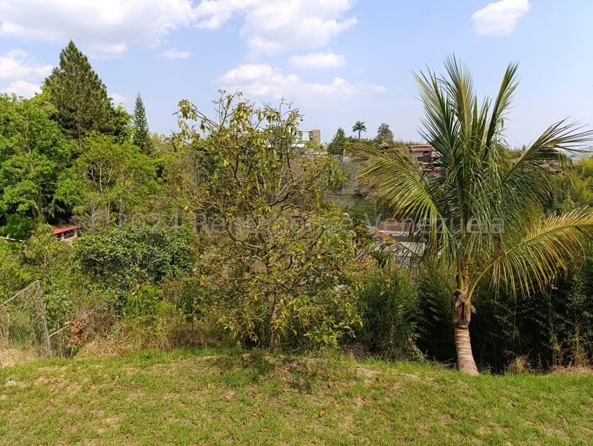 Casa (Multipes Niveles) en Venta en Los Guayabitos, Distrito Metropolitano - 14