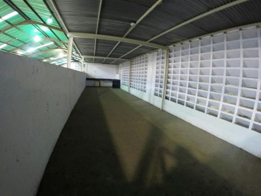 Comercial (Galpon - Deposito) en Venta en Mariche, Distrito Metropolitano - 8