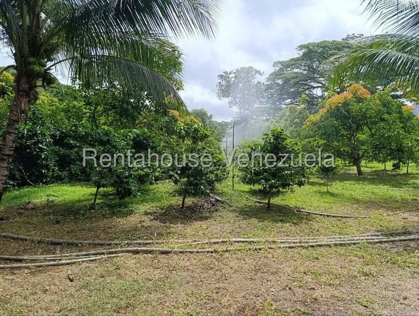 Terreno (Finca) en Venta en Sector El Carmen, Aragua - 2