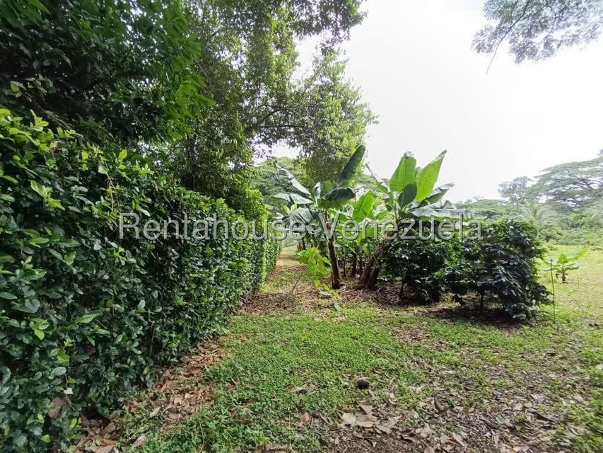 Terreno (Finca) en Venta en Sector El Carmen, Aragua - 115