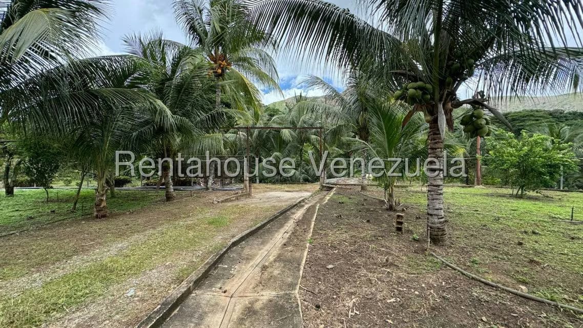 Terreno (Finca) en Venta en Sector El Carmen, Aragua - 117