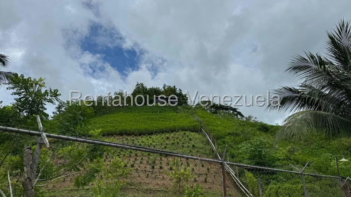 Terreno (Finca) en Venta en Sector El Carmen, Aragua - 119