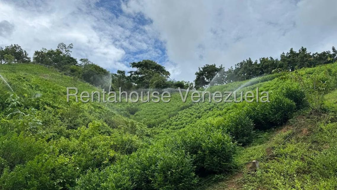 Terreno (Finca) en Venta en Sector El Carmen, Aragua - 121