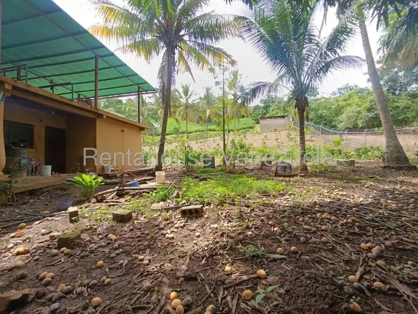 Terreno (Finca) en Venta en Sector El Carmen, Aragua - 134