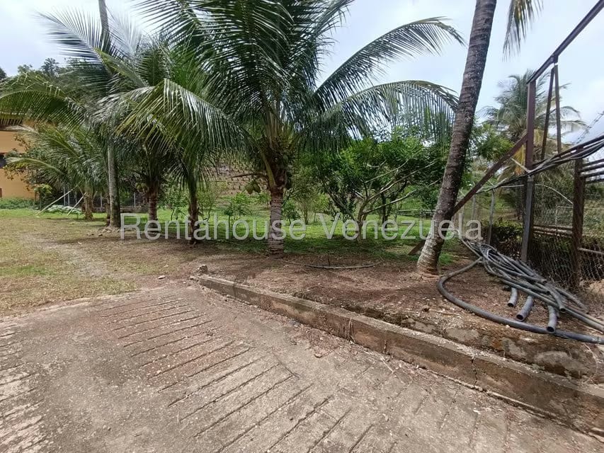 Terreno (Finca) en Venta en Sector El Carmen, Aragua - 135