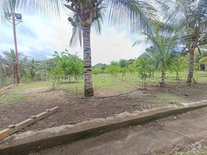Terreno (Finca) en Venta en Sector El Carmen, Aragua - 136