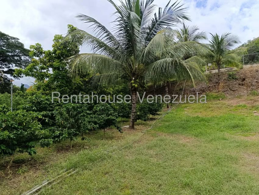 Terreno (Finca) en Venta en Sector El Carmen, Aragua - 142