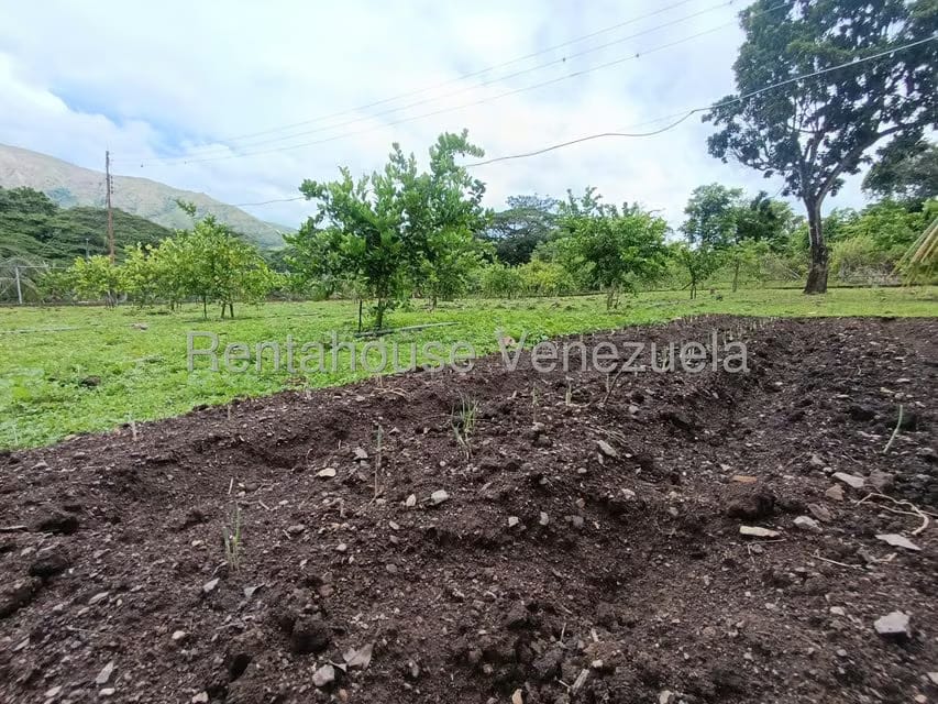 Terreno (Finca) en Venta en Sector El Carmen, Aragua - 152