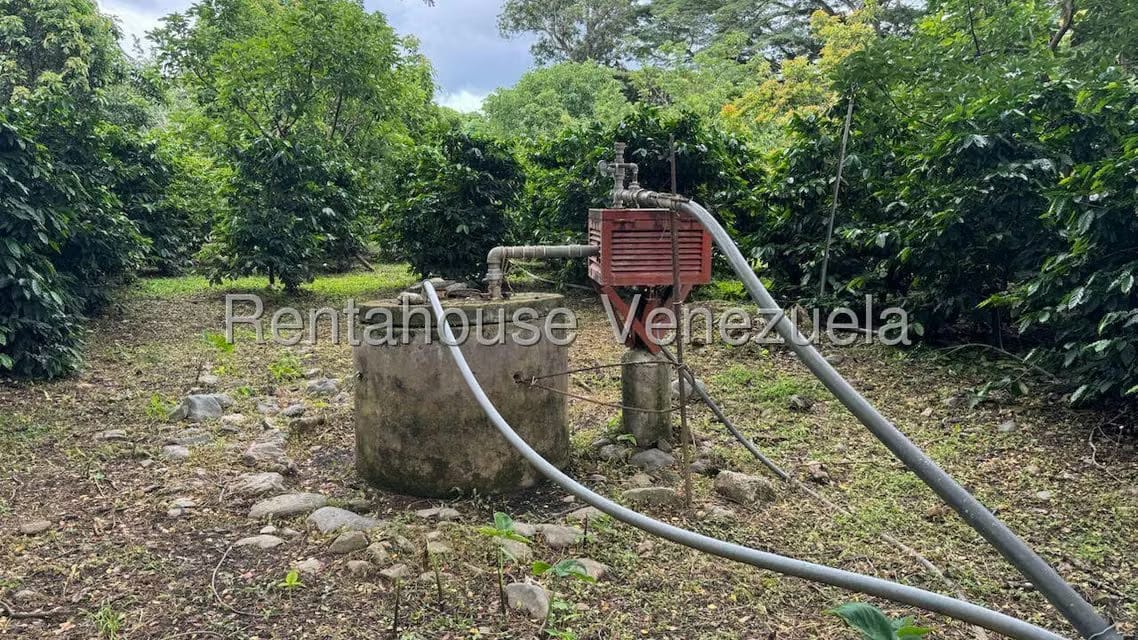Terreno (Finca) en Venta en Sector El Carmen, Aragua - 17