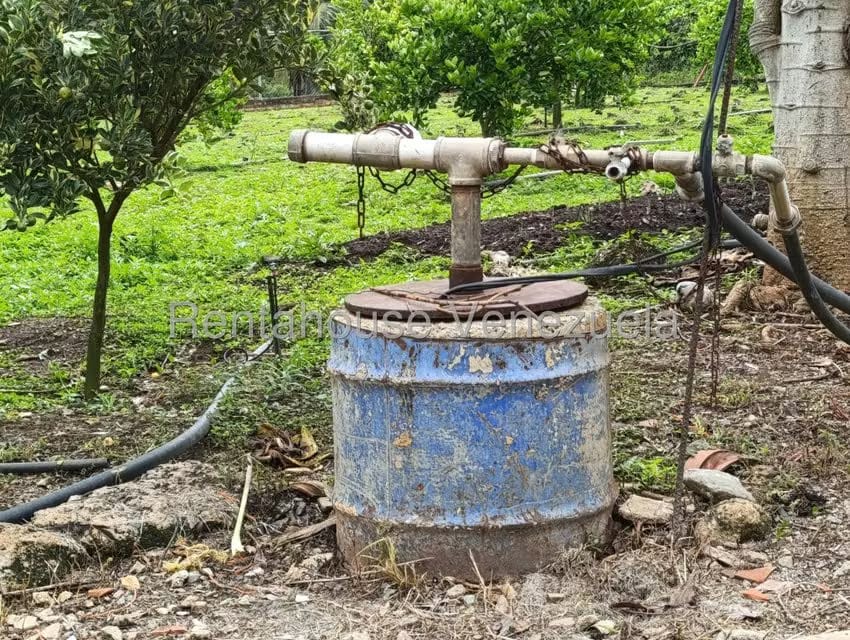 Terreno (Finca) en Venta en Sector El Carmen, Aragua - 18