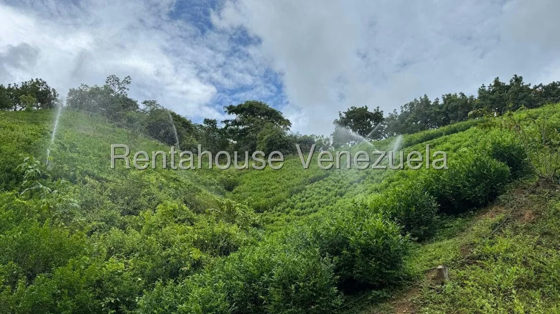 Terreno (Finca) en Venta en Sector El Carmen, Aragua - 21