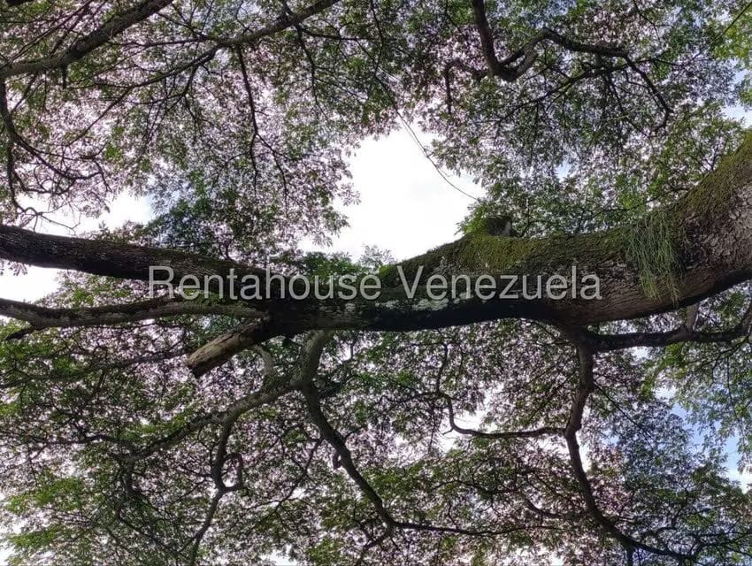 Terreno (Finca) en Venta en Sector El Carmen, Aragua - 42