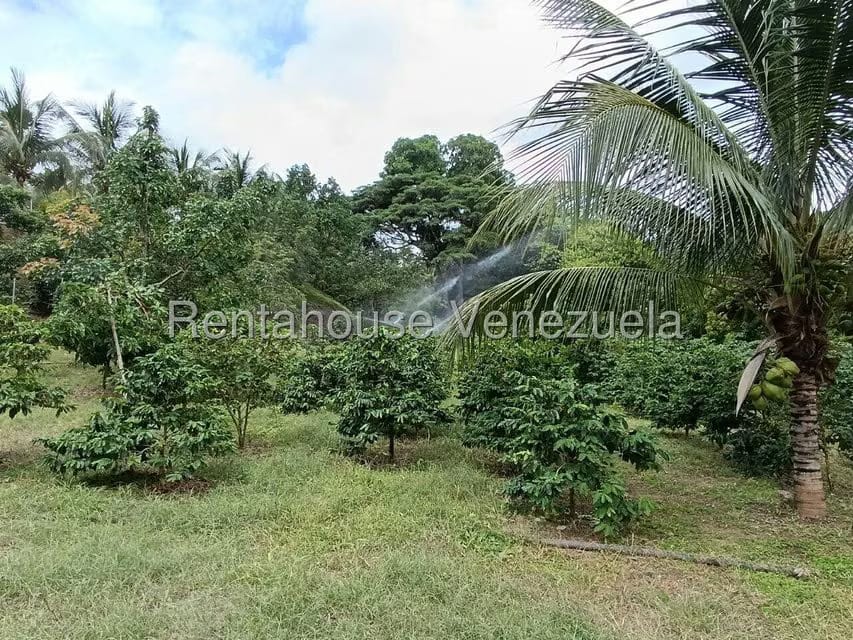 Terreno (Finca) en Venta en Sector El Carmen, Aragua - 45
