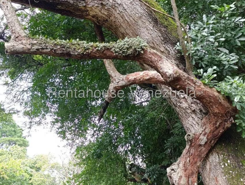 Terreno (Finca) en Venta en Sector El Carmen, Aragua - 56