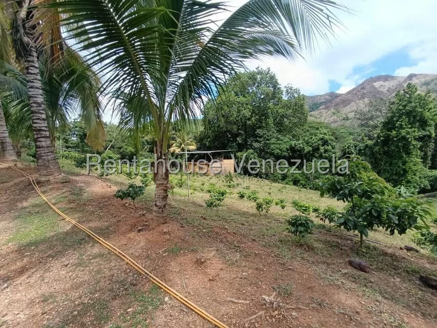 Terreno (Finca) en Venta en Sector El Carmen, Aragua - 59