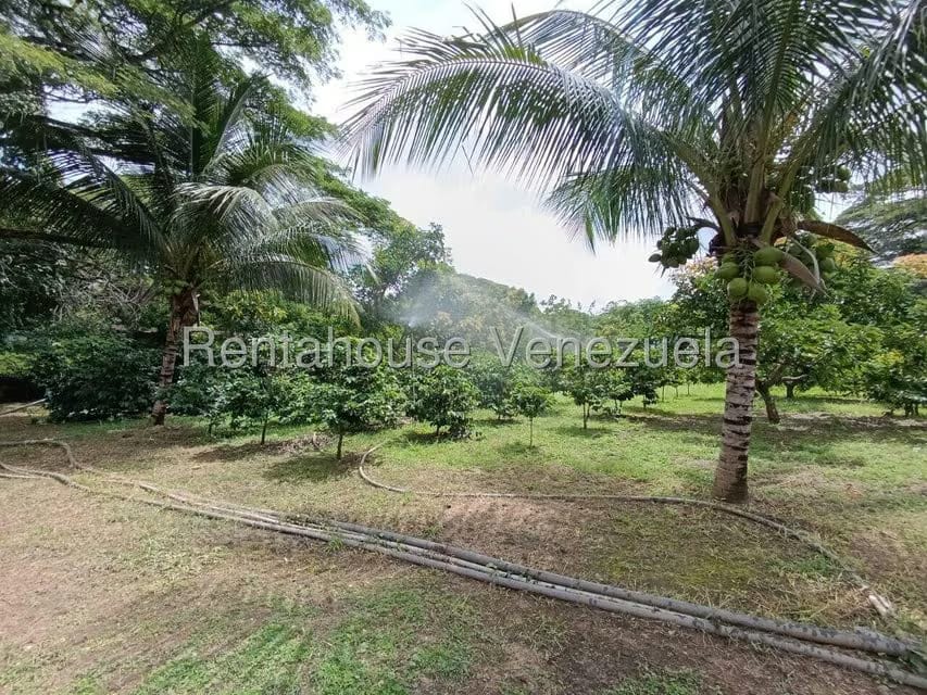 Terreno (Finca) en Venta en Sector El Carmen, Aragua - 8