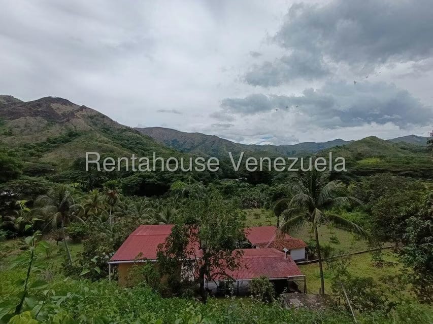 Terreno (Finca) en Venta en Sector El Carmen, Aragua - 81