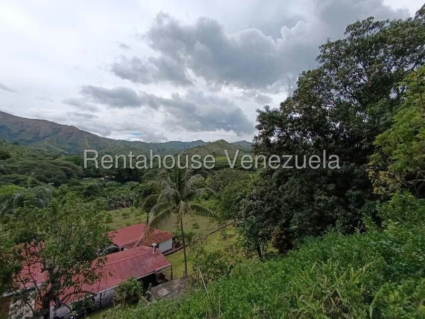 Terreno (Finca) en Venta en Sector El Carmen, Aragua - 82